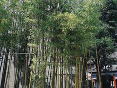 -龙潭水乡