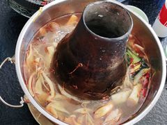 -撒拉人家.酸菜牦牛肉火锅