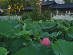 -龚家花园农家乐休闲别墅