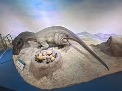 -国家自然博物馆