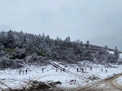 -武陵山森林公园