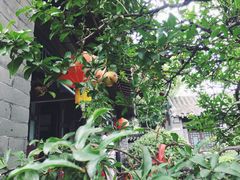 -戚继光故里