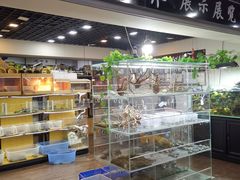 -苏州艺都古玩花鸟市场