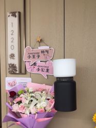 -雪绒花月子会所(万安店)