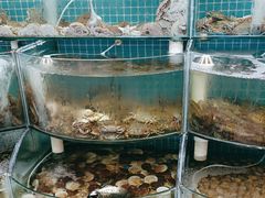 -仙螺岛海鲜自助餐厅(总店)