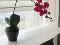 -上海外滩中星君亭酒店
