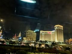 -澳门威尼斯人综合度假区