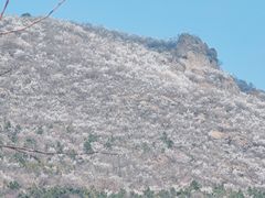 -妙峰山风景名胜区