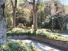 -梦姑塘文化公园