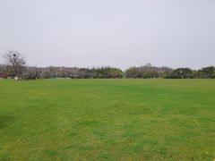 -合肥三国新城遗址公园