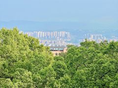 -南山植物园