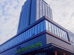 -都江堰中心国际酒店