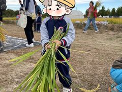-瀚佳仁双语幼儿园