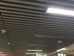 -华西坝(地铁站)