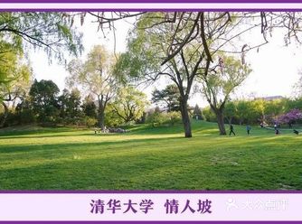 在清华可以怎么过七夕?