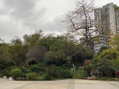 -晓港公园