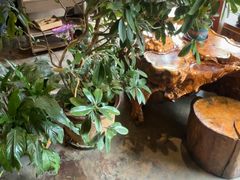 -慢丽江·云南野生菌土鸡锅(付家庄店)