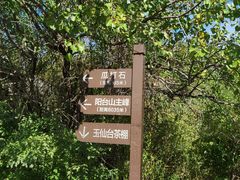 -阳台山自然风景区