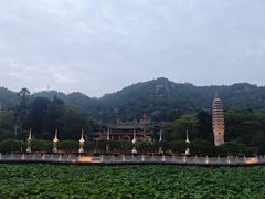 -厦门大学(思明校区)