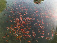 -水磨沟公园