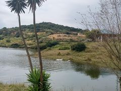 -大姆山草场
