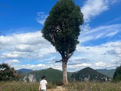 -重庆云阳龙缸景区