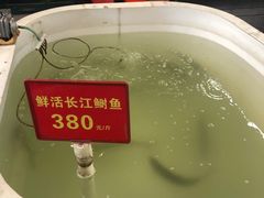 -莆鑫海鲜城(浏河店)