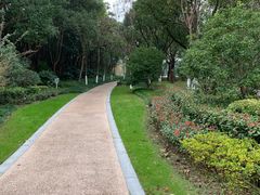 -昆山城市生态森林公园