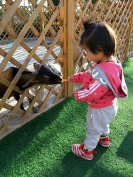 -萌宠亲子动物乐园(槐房万达店)