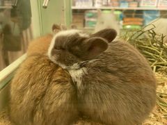 -龙猫仔乐园(惠福东路店)