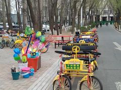 -丁香湖公园