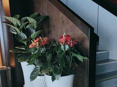 -喜湘宴·精致湖南菜(和平西桥店)