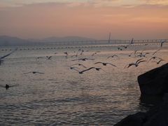 -深圳湾公园(南山区)