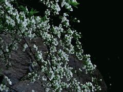 -中国茶叶博物馆(双峰馆区)