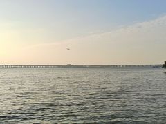 -宝安西湾红树林湿地公园