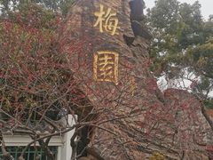 -无锡梅园公园