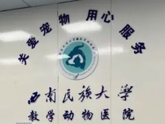 -成都民大动物医院