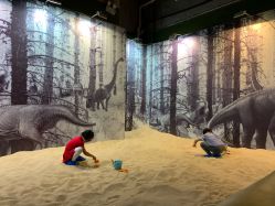 点击看大图 -恐龙探索乐园(磁器口店)