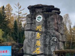 -汤旺河林海奇石景区
