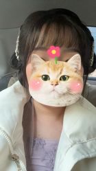 -眉毛先生MrBrow修眉染眉化妆