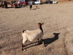 -丽江泸沽湖景区