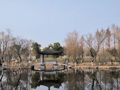 -武汉园博园(武汉自然博物馆)