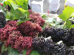 -三旗百汇商品城