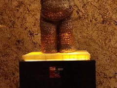 -成都保利公园皇冠假日酒店(熊猫基地店)