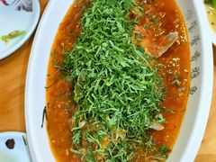 -老字号怡玺·藿香雅鱼(20年雅安店)