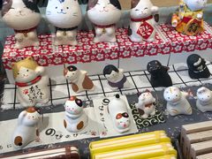 -猫的天空之城概念书店(丽江古城饮玉巷店)