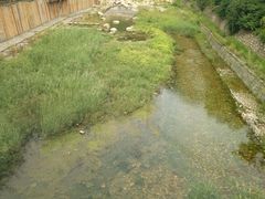 -湖洞水自然风景区