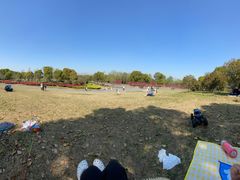 -广富林郊野公园