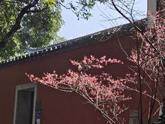 -乌山风景区