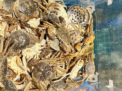 -曼格活海鲜·牛排自助(光明蓝鲸店)